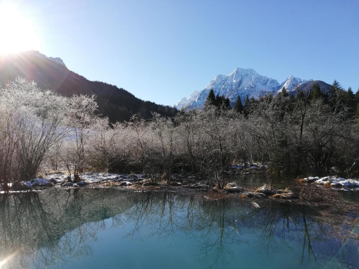 Apartment Jakelj Kranjska Gora Εξωτερικό φωτογραφία